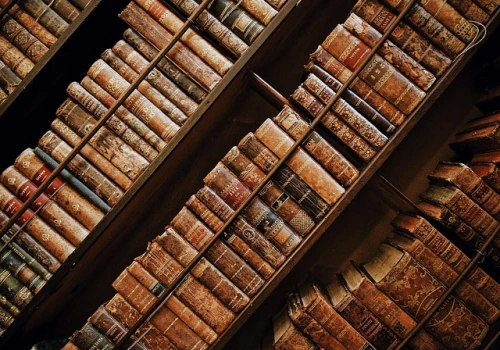 W ubiegłym roku 20,5 mln pobrań artykułów i rozdziałów z Wirtualnej Biblioteki Nauki