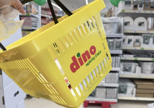 Tyle zarabia się w Dino. Takie kwoty 
