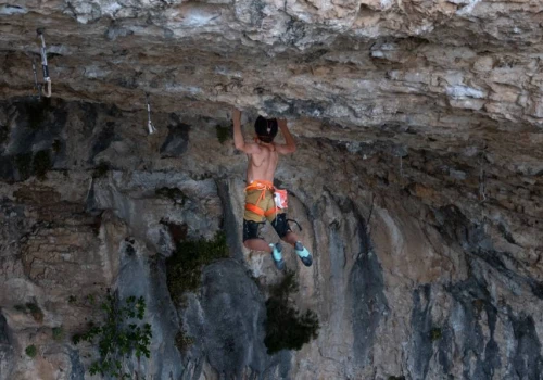 13-letni Leo Cea przechodzi swoje pierwsze 9a+: „No pain no gain”