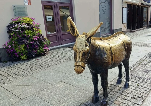 Toruński osiołek wygląda niewinnie. Dawniej oznaczał ból i publiczne upokorzenie