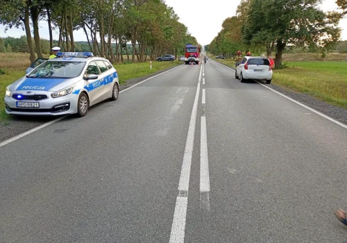 Jeleń zderzył się z trzema autami na drodze krajowej nr 48. Na miejscu pracują policjanci