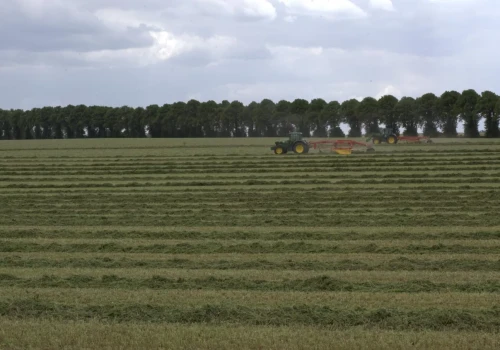 Plany ogólne mogą zamknąć drogę do budowy na wsi. Eksperci proponują zmiany