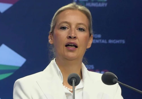 Alternatywa dla Niemiec idzie po Berlin? Ten plan budzi wielki lęk