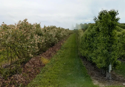 990 litrów biopreparatów za pierwsze miejsce. Trwa konkurs AGRO-SORB