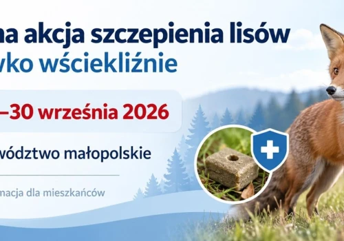 Szczepienie lisów przeciw wściekliźnie w województwie małopolskim