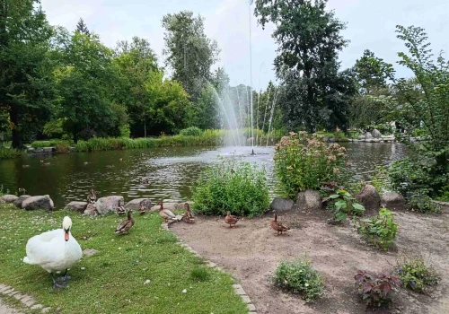 Park Zdrojowy w Ciechocinku. Jak powstało zielone serce uzdrowiska?