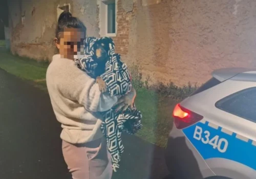 Potrącił psa i odjechał. Pies czekał na pomoc