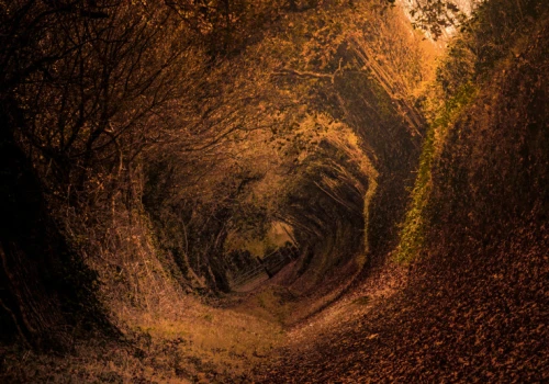 cytat o jesieni - Tolkien