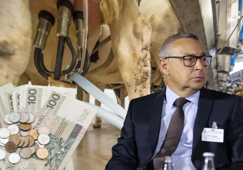 Ceny mleka szorują po dnie, a rolnicy zwiększają produkcję. Jak długo wytrzyma rynek?