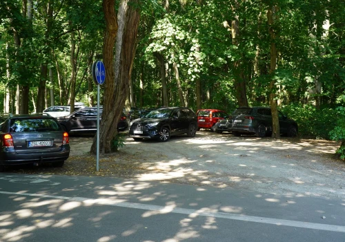 Gdzie zostawić samochód przed wejściem do lasu? Nie każde miejsce nadaje się do parkowania