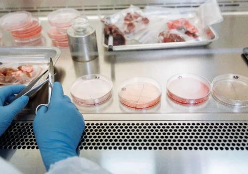 Chemioterapia platynowa ratuje dzieci z nowotworem wątroby, ale pozostawia ślad w zdrowych komórkach
