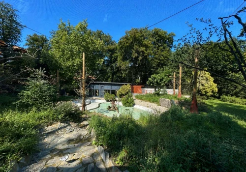 Mały staw w zoo po remoncie. Pojawił się w nim nowy gatunek