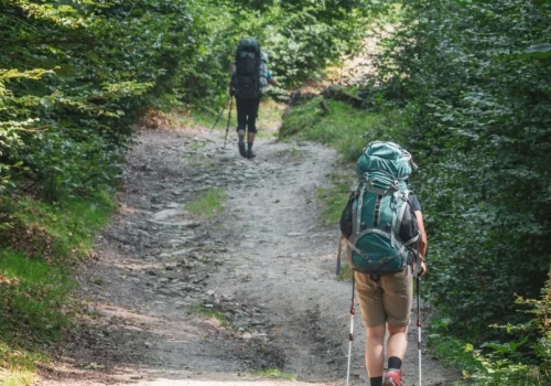 300 zł na jesienny urlop. Rusza walka o czeki – wygra ten, kto kliknie pierwszy