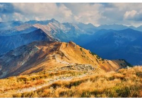 Ta roślina barwi Tatry na czerwono. I trzyma zbocza w ryzach