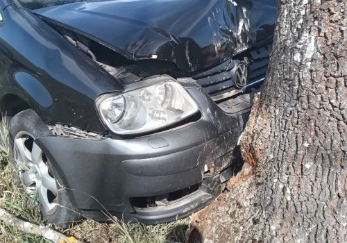 Poważne zdarzenie na lokalnej drodze. Przeszkodą stało się przydrożne drzewo