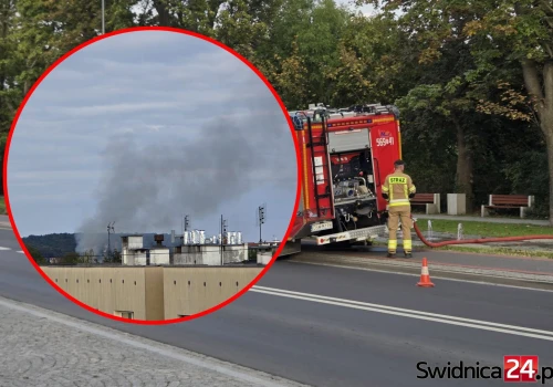 Wieczorna interwencja strażaków przy Alei Wojska Polskiego w Strzegomiu