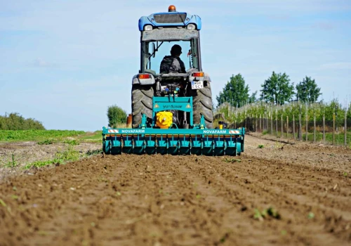 Jedna maszyna do sadu i plantacji jagodowej – sadownik zdradza, dlaczego ją wybrał