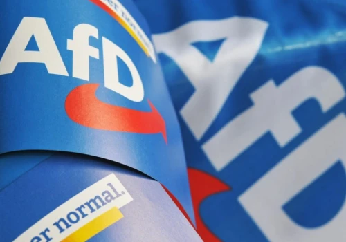 Aktor porno, złodziej pościeli i agent Stasi wśród posłów AfD
