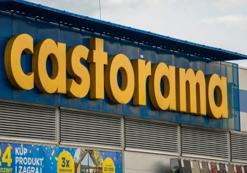 Od czwartku Castorama będzie rozdawać wrzosy za darmo. Można dostać nawet 10 sadzonek