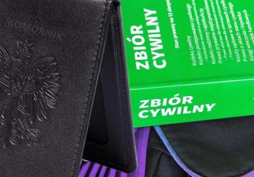 Polacy w ciągu 5 lat złożyli ponad 2,6 tys. skarg na komorników. Głównie na ich czynności i przewlekłość postępowań