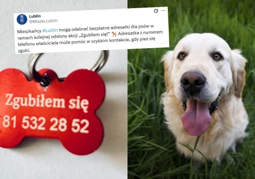 Lublin ponawia akcję rozdawania adresatek dla psów, bo oszczędza stresu ludziom i zwierzętom