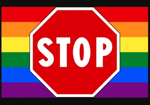 Naloty i zatrzymania w barach LGBT+ i domach działaczy w ramach rządowej akcji mającej na celu ochronę „dzieci, instytucji rodziny i porządku społecznego”