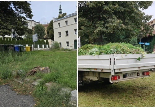 Kulisy samorządu: Demokracja bez prawdziwych dziennikarzy jest jak dom bez okien