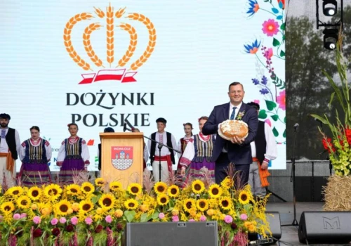 Problem z eksportem polskich ziemniaków. Minister zapowiada działania