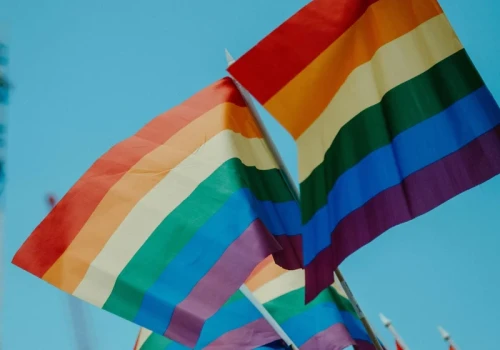 Turcja uderza w społeczność LGBT+. Policja weszła do barów, klubów i domów