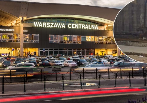 Łoś na torach kolejowych, sparaliżował ruch na stacji Warszawa Centralna