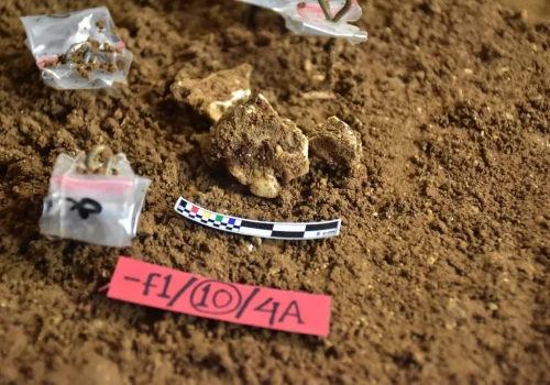 Pradawni ludzie odurzali się z wykorzystaniem tej substancji. Naukowcy odkryli najstarsze dowody