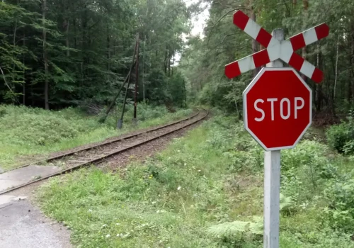 Trzy miesiące bez prawa jazdy. Wprowadzają nowe kary za wykroczenia