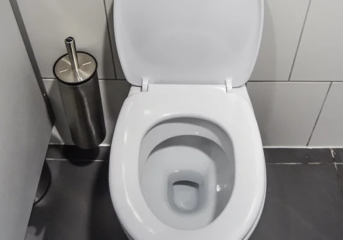 Wrzucam tabletkę i czekam 15 minut. Szczotka WC ma potem znacznie mniej pracy