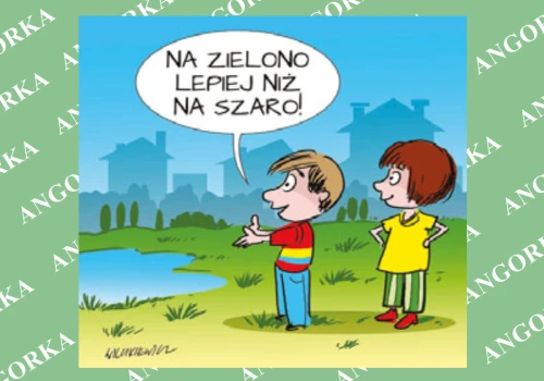 Holendrzy wyrywają kostkę z chodników. Tak walczą ze zmianami klimatu