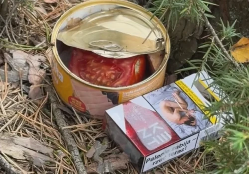 Idziesz po prawdziwki, wracasz z wysokim ciśnieniem. Dramatyczny apel po grzybobraniu za Śniadowem