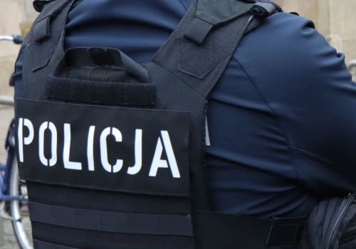 Ukradł papugę z restauracji w Krakowie. Policjanci zatrzymali 45-latka