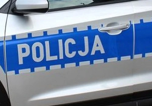 Bliskie spotkanie z jeleniem na obwodnicy Wielunia!