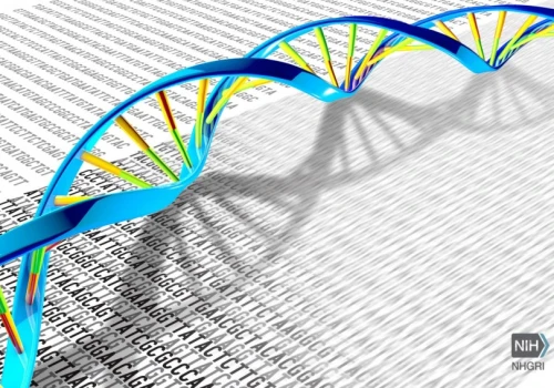 Ekspansja Słowian już od II wieku? Nowa metoda analizy DNA pokazuje, co niewidoczne