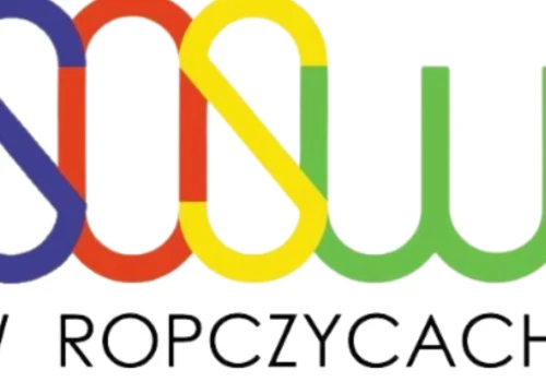 Razem dla edukacji włączającej – kolejne działania SCWEW w Ropczycach