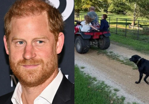 Harry na zdjęciach z dziećmi. Lilibet i Archie w centrum uwagi. Jakie oni mają fryzurki!