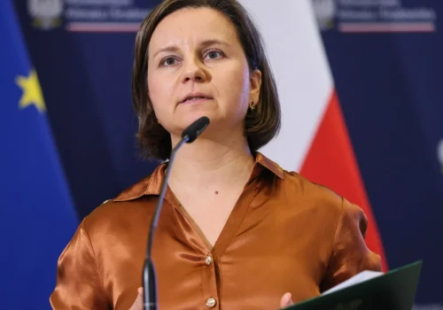 Dziki atakują ludzi. Zielińska: Jest wrażenie, że chronią się w miastach