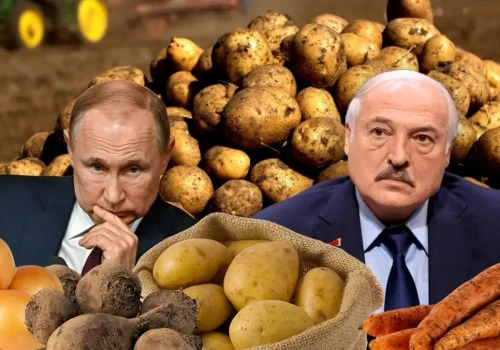 Macie kartofle? To schowajcie! W Rosji się zaczęło