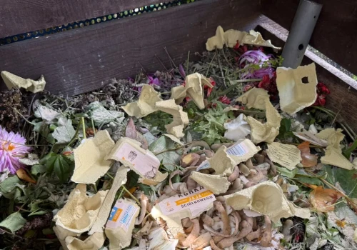Dodasz do kompostu, przyciągniesz szczury. Nawóz będzie do wyrzucenia
