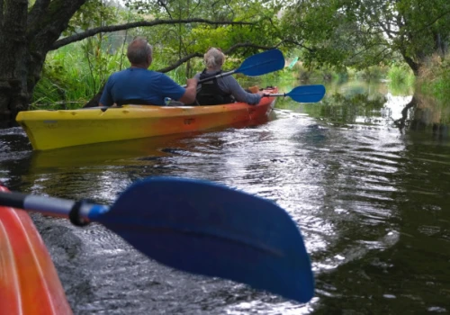 Kryształowa woda i dzika natura. Oto najczystsze rzeki w Polsce