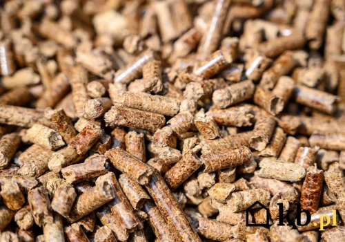 Czy tona pelletu własnej produkcji rzeczywiście kosztuje 500 zł? Liczymy krok po kroku