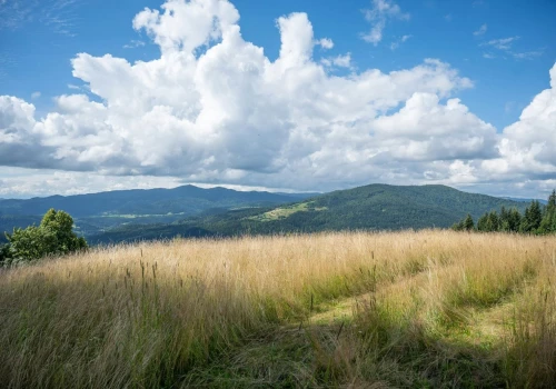 Beskidy: poprawiły się warunki na szlakach turystycznych; są dobre