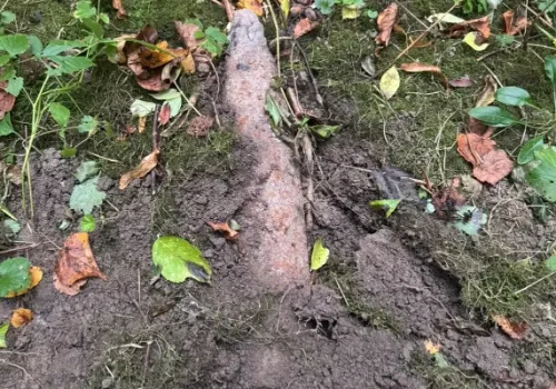 Zamiast borowika… pocisk artyleryjski! Groźne odkrycie podczas grzybobrania