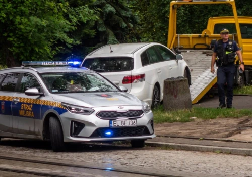 Straż miejska może dać 3000 zł mandatu. Nowe przepisy już działają