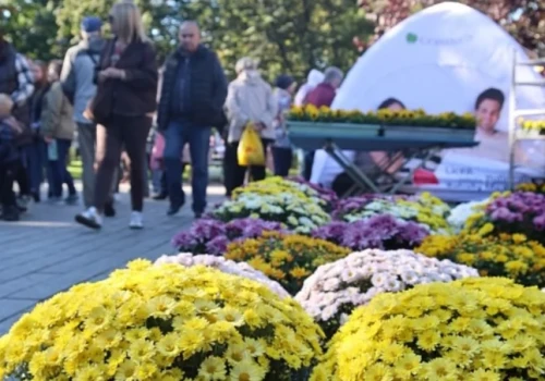 Jesienny Targ na Plantach