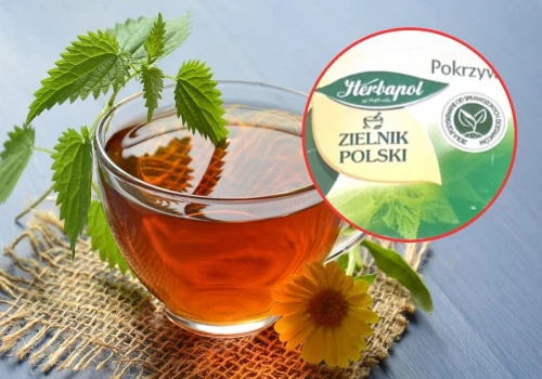GIS ostrzega przed herbatką z pokrzywy. Tej partii nie należy pić